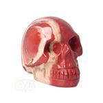 Rode Jaspis schedel Nr 16 - 103 gram