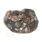 Turitella Agaat trommelsteen Nr 39 - 21 gram