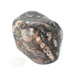 Turitella Agaat trommelsteen Nr 37 - 29 gram