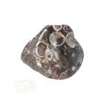 Turitella Agaat trommelsteen Nr 33 - 17 gram