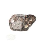 Turitella Agaat trommelsteen Nr 30 - 31 gram