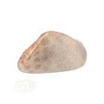 Fossiel Koraal trommelsteen Nr 15  - 21 gram