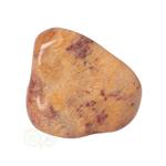 Fossiel Koraal trommelsteen Nr 8  - 23 gram