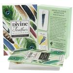 Divine Feather Messenger - Alison Denicola (Engelstalig)