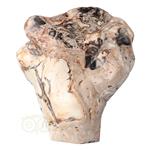 Versteend hout sculptuur nr 51 - 3867 gram