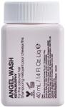 KEVIN MURPHY ANGEL.WASH, 40ml