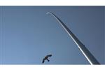 Aluminium mast 12,5 meter met vlieger Black Hawk Kite