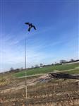 Bird Scaring Kite van Ketrop met Draaiende Voet