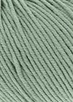 Lang Yarns Merino 120 50 gram nr 91 Groen