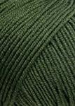 Lang Yarns Merino 120 50 gram 498 Lodengroen