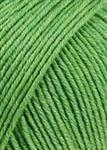 Lang Yarns Merino 120 50 gram Groen Melange 317