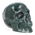 Mosagaat schedel Nr 269 - 1337 gram
