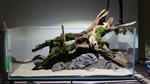 Fine sinking wood 27-35cm  - Aquarium decoratie mangrove hout