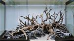 Spider wood 25-35cm aquarium decoratie hout