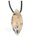 Crazy Lace Agaat Ovaal hanger Nr 22 -  11 gram