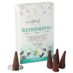 StamFord Verfrissend - Refreshing   - 15 Cones