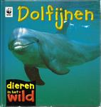 Dolfijnen Dieren In Het Wild