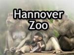 Geldige Zoo Hannover Korting:(Uitverkoop: 2023)