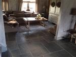 Bourgondische Dallen Castle Stone Grey wildverband