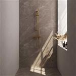 Douchekraanset Brauer Gold Edition Opbouw Met Glijstang En Staafhanddouche Geborsteld Goud