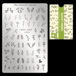 Moyra Stamping Plate 79 Green LEAVES