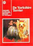 36 yorkshire terrier V.n.k. gids