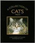 A Collection Of Cats Tales