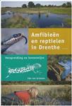 Amfibieen En Reptielen In Drenthe