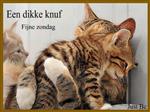 Fijn erotisch contact