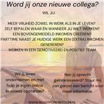 Online business/professionele Netwerker worden