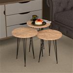 [en.casa] Bijzettafel Ry set van 3 rond houtkleurig en zwart