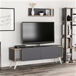 [en.casa] TV meubel met plank Albertslund 120x31x42 cm antraciet