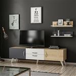 [en.casa] TV meubel met 2 planken Hadsten 160x31x31 cm meerkleurig