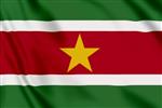 Vlag Suriname 300x200