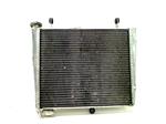 Yamaha YZF 600 THUNDERCAT 437V RADIATEUR