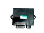 Yamaha YZF 1000 THUNDERACE 1996 - 2001 43HP CDI MODULE 4VD-82305-00