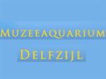 Geldige Muzee Aquarium Delfzijl Korting:(Uitverkoop: 2023)