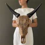 GEEN RESERVE PRICE - Skull Art - Grote authentieke handgesneden bruine koeienschedel - Groot Gesnede