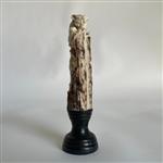 Snijwerk, NO RESERVE PRICE - A Puma Carving from a deer antler on a stand - 18 cm - Hertengewei, hou