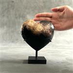 GEEN RESERVEPRIJS - Prachtig hartvormig versteend hout op een aangepaste standaard - Gefossiliseerd 