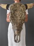 GEEN MINIMUMVERKOOPPRIJS - Skull Art - Authentieke grote handgesneden antieke bruine stierenschedel 
