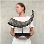 Snijwerk, NO RESERVE PRICE - Finely Engraved Large Horn of a Water Buffalo - Koi Fish motif - 35 cm 