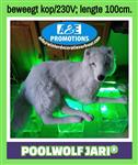 witte poolwolf  verhuur pooldieren hasselt