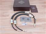 Kharma Exquisite highend silver-gold audio interconnects RCA 1,0 metre