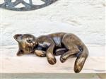 Sleeping kitten - Beeldje - Brons