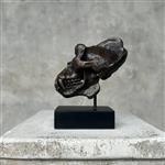 sculptuur, NO RESERVE PRICE - Gorilla Skull Sculpture - 15 cm - Brons