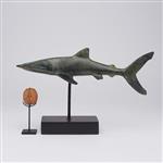 sculptuur, NO RESERVE PRICE - Bronze Patinated Great White Shark - Carcharodon Carcharias - 20 cm - 
