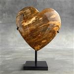 GEEN RESERVEPRIJS - Prachtig hartvormig van versteend hout op een aangepaste standaard - Gefossilise