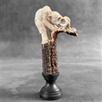Snijwerk, NO RESERVE PRICE - Mammoth Carving from a deer antler on a custom stand - 16 cm - Hertenge