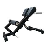 Technogym lower back bench | Pure strength | Back extension |